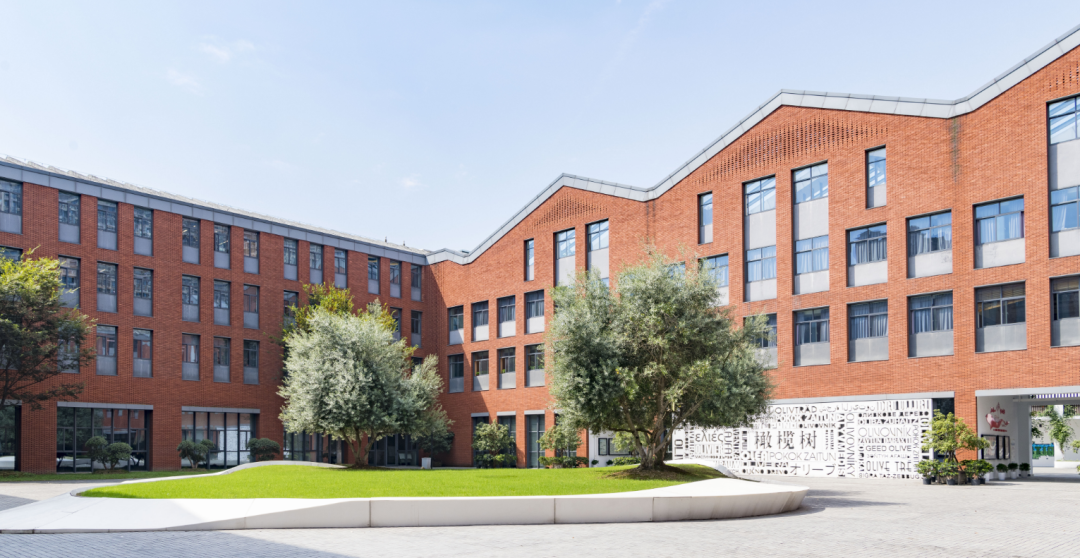 杭州橄欖樹學(xué)校